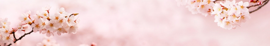 skinali 0908